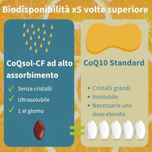 Carica l'immagine nel visualizzatore di Gallery, Integratore CoQ10, Coenzima Q10 100mg, 4 mesi, Biodisponibilità 5x Superiore, Formula Ultra-Solubile CoQsol-CF, Ubichinone potenziato con vitamina E e D-Limonene, 120 softgels 1 al giorno - Igennus
