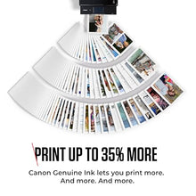 Carica l'immagine nel visualizzatore di Gallery, Canon Ink - PG-540L Cartuccia d'inchiostro nera originale a resa elevata per stampanti - Stampa fino a 300 pagine A4 (1 cartuccia) - Compatibile con la stampante PIXMA