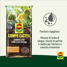 Carica l&#39;immagine nel visualizzatore di Gallery, COMPO CACTEA Terriccio per Cactacee, Per una crescita omogenea delle piante, 5 l