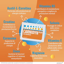 Carica l&#39;immagine nel visualizzatore di Gallery, Carnidyn Plus Integratore Alimentare per Stanchezza Mentale e Fisica, 20 Bustine da 5g da Sciogliere in Acqua, Gusto Agrumi