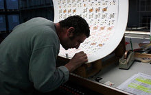 Carica l&#39;immagine nel visualizzatore di Gallery, Dal Negro - Mazzo di carte Piacentine Italia, composto da 40 carte in cartoncino, ideali per giocare a scopa e briscola.
