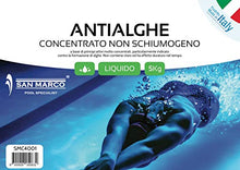 Carica l'immagine nel visualizzatore di Gallery, San Marco Antialghe concentrato da 5 Kg per piscine anti alghe