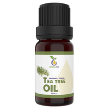 Carica l'immagine nel visualizzatore di Gallery, Tea Tree Oil 10ml - Olio Tea Tree puro biologico - anti acne, brufoli e punti neri - Olio Essenziale di Albero del Tè pe