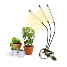 Carica l'immagine nel visualizzatore di Gallery, Mobiclinic®, Lampada per piante, Growflex, 3 modalità, 6000k, 10 livelli di luminosità, Spettro completo, Timer, Rotazio