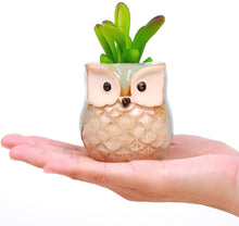 Carica l'immagine nel visualizzatore di Gallery, Vasi in Ceramica 6pz, in Ceramica con Gufo, Vaso per Fiori in Ceramica, per piante Cactus Vaso per fiori Vaso per fiori 