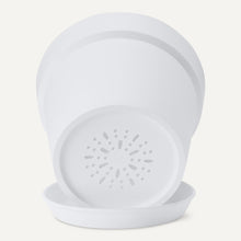 Carica l'immagine nel visualizzatore di Gallery, Amazon Basics - Vasi per Piante, 20.3cm, Bianco, Confezione da 1