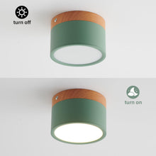 Carica l'immagine nel visualizzatore di Gallery, Plafoniera LED, faretto decorativo in legno montato su superficie, mini plafoniera rotonda verde, bianco caldo 3000K, 12