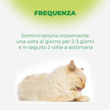 Carica l'immagine nel visualizzatore di Gallery, Remover Gatto - Mangime Complementare Per Gatti 20gr