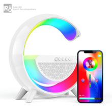 Carica l'immagine nel visualizzatore di Gallery, variants8