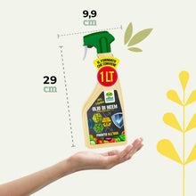 Carica l'immagine nel visualizzatore di Gallery, Albagarden - Olio Di Neem Per Piante - MAXI x 1 Litro - Soluzione Naturale Contro Insetti Funghi Cocciniglia, Acari Afid