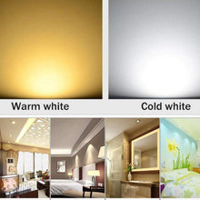 Carica l'immagine nel visualizzatore di Gallery, Lampadine Pocketmant Dimmable G4 LED, 20W di ricambio per lampada alogena, lampadine DC 12V 200LM G4 LED, confezione da 