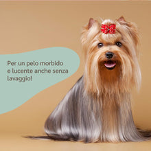 Carica l'immagine nel visualizzatore di Gallery, amusi Balsamo Cani Pelo Lungo Spray Sciogli Nodi Pelo Cane 250ml - Made in Italy, Formula Ipollergenica, Lucida, Condiziona, Nutre, Effetto Antistatico, Balsamo per Cani Spray, Districante Pelo Cane