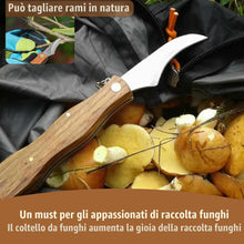 Carica l'immagine nel visualizzatore di Gallery, Coltello per Funghi in Acciaio Inox con Spazzola - Raccolta e Pulizia Micologica