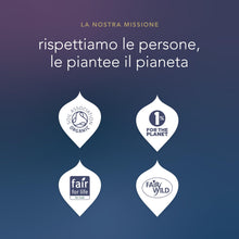 Carica l&#39;immagine nel visualizzatore di Gallery, Pukka Tisane Calendario Avvento 2025, Set Regalo Tisane e Infusi, Deliziose Erbe Biologiche, Senza Cioccolato e Lattosio, Per Una Dose Quotidiana Di Benessere e Gusto, Idea Regalo, 24 Bustine