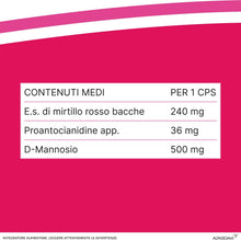 Carica l'immagine nel visualizzatore di Gallery, Cistiflux Plus, Integratore a Base di Estratto di Mirtillo Rosso,Cranberry Americano, e D-Mannosio,per Favorire Una Corretta Funzionalità delle Vie Urinarie, 14 Bustine, Gusto Frutti di Bosco