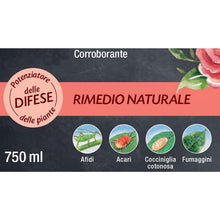 Carica l'immagine nel visualizzatore di Gallery, COMPO BIO Sapone Molle di Potassio,Rimedio per Afidi,Pronto Uso, 750ml