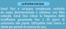 Carica l'immagine nel visualizzatore di Gallery, GESAL Oasi, Riserva d’Acqua, Per Innaffiature Ridotte, Fino a 30 Giorni di Efficacia, 300 ml