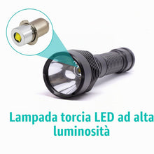 Carica l'immagine nel visualizzatore di Gallery, Lampadina LED di Ricambio 3V P13.5S 3W per Torcia Maglite 2D, Lampada Torcia LED 3V, Lampadina Sostitutiva Alta Luminosi