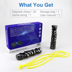 Gioco di Scacchi Magnetici, Gioco da Tavolo a Scacchi con Pietre Magnetiche, Gioco da Tavolo Educativo Dama, Pietre Magnetiche Scacchi da Battaglia Magnetici Portatili per Feste, Famiglia e Compagno