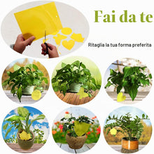 Carica l'immagine nel visualizzatore di Gallery, Panngu 50 Pezzi Trappole Acchiappa Ciliegio Mosche, Mosca Dell'olivo Trappole Appiccicose Gialle Bilaterali per Insetti 