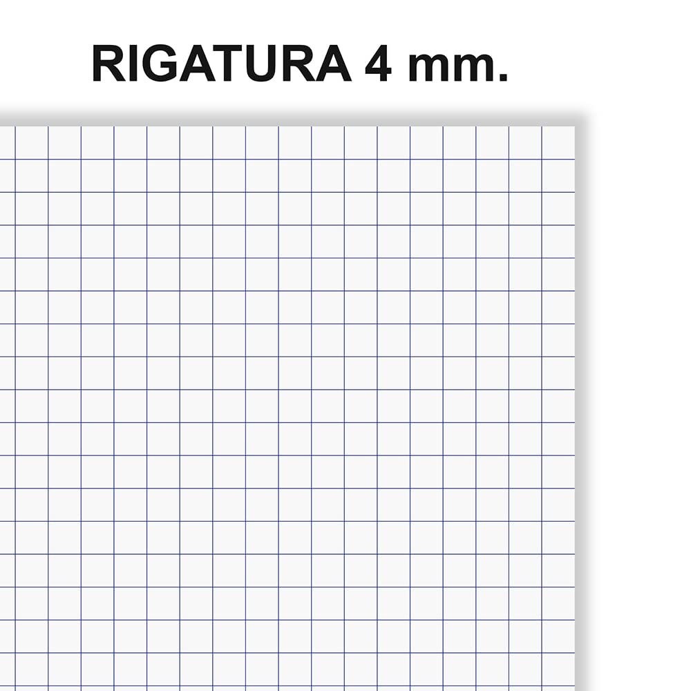 Quaderni FAVORIT A4 - Confezione Da 5 - Copertina Colorata - Rigatura 4mm - Carta High Quality 80g/mq - Foto 4