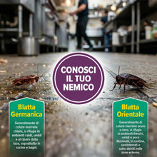 Carica l'immagine nel visualizzatore di Gallery, NOPE! Controllo Scarafaggi 500 ml - Spray Antiblattе per Interni ed Esterni