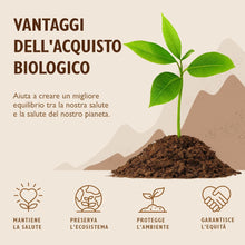 Carica l'immagine nel visualizzatore di Gallery, Sevenhills Wholefoods Fave di cacao crude biologiche 500g per la preparazione di dolci, dessert, cioccolate calde, macinate in polvere