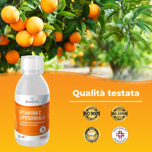 Carica l'immagine nel visualizzatore di Gallery, Bandini® Vitamina C Liposomiale Vegan Liquida 250ml, Vitamine C 1000mg