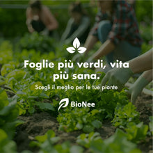Carica l'immagine nel visualizzatore di Gallery, Combi Spray 1 lt | Con Olio di Neem e Sapone Molle | Naturale e Pronto all’Uso | Anti-Afidi, Cocciniglie e Fumaggine | P