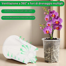 Carica l'immagine nel visualizzatore di Gallery, AOOWU 6 Pezzi Vaso per Orchidee Trasparenti, 12 CM Vaso Trasparenti per Piantine con Foro di Drenaggio, Plastica Kit di 