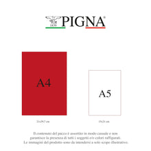 Carica l'immagine nel visualizzatore di Gallery, Pigna - Confezione 10 Quaderno Maxi A4 MONOCROMO THE ORIGINAL,5M