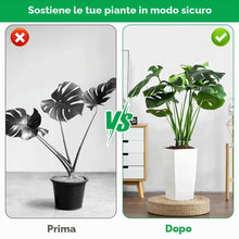 Carica l'immagine nel visualizzatore di Gallery, Adiwo 8 pezzi porta steli in plastica, porta piante clip per supporto piante, supporto per piante perenni per piante mon