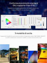 Carica l'immagine nel visualizzatore di Gallery, LIGHTEU, Miboxer DALI 5 in 1 controller per strisce LED, uscita dimmer PWM, 12-24V compatibile con strisce LED a 5 modal
