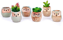 Carica l'immagine nel visualizzatore di Gallery, Vasi in Ceramica 6pz, in Ceramica con Gufo, Vaso per Fiori in Ceramica, per piante Cactus Vaso per fiori Vaso per fiori 