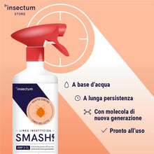 Carica l'immagine nel visualizzatore di Gallery, Insectum 2 Insetticida cimici da letto AMP 2 CL - Spray cimici da letto Flacone 500 ml - Insetticida per cimici da letto