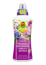 Carica l'immagine nel visualizzatore di Gallery, COMPO Concime Liquido Per Rododendri, Azalee, Camelie e Ortensie, 1L