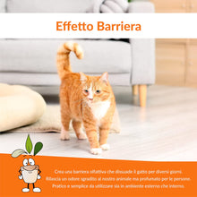 Carica l'immagine nel visualizzatore di Gallery, CLOSTER STOPPEE - Disabituante Gatti 750 ML - Spray Disabituante per Gatti vegetale a Base di Timo - Dissuasore per Gatti per Interni ed Esterni - deterrente per Gatti agisce in Modo 100% Naturale