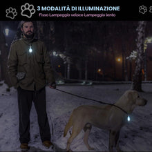 Carica l'immagine nel visualizzatore di Gallery, 2 luci LED impermeabili per cani con USB ricaricabile per passeggiare di notte, attaccate al collare, al guinzaglio o al