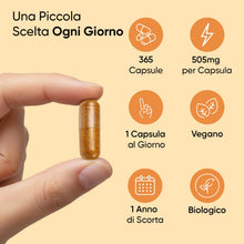 Carica l'immagine nel visualizzatore di Gallery, Curcuma Capsule Vegane, 365 Capsule, 1 Anno di Scorta, 1 al Giorno
