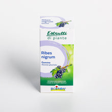 Carica l'immagine nel visualizzatore di Gallery, Estratti di Piante Ribes Nigrum - Macerato Glicerinato di Ribes Nero 60 ml