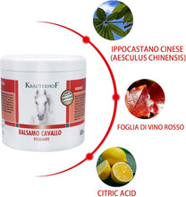 Carica l'immagine nel visualizzatore di Gallery, Naturus per Krauterhof | Balsamo Riscaldante per Cavalli Extra Forte, Gel all’Arnica – Sollievo Muscolare Post-Allenamen