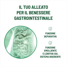 Carica l'immagine nel visualizzatore di Gallery, Equilibra Aloe Detox Zero, Gel Concentrato 99%, 10 Stick da 30 ml