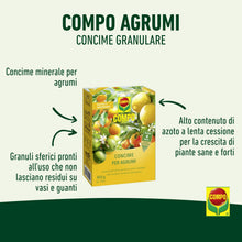 Carica l'immagine nel visualizzatore di Gallery, COMPO Concime Granulare a Lenta Cessione Per Agrumi, Per Limoni, 850g