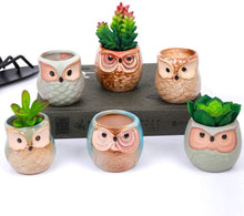 Carica l'immagine nel visualizzatore di Gallery, Vasi in Ceramica 6pz, in Ceramica con Gufo, Vaso per Fiori in Ceramica, per piante Cactus Vaso per fiori Vaso per fiori 