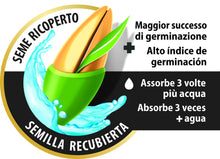 Carica l'immagine nel visualizzatore di Gallery, COMPO SEMI per Prato Veloce, Miscela Speciale, Seme Ricoperto, Per rigenerare Tappeti Erbosi, 1 kg