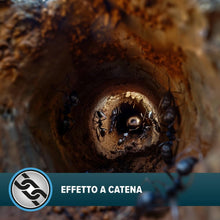 Carica l'immagine nel visualizzatore di Gallery, NOPE! Ammazza Formiche – 2 x 2 Casette Trappola Insetticida Antiformiche – 40g – Esche Pronte all’Uso per Interni ed Esterni – Fino a 4 Settimane di Protezione