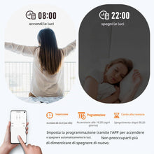 Carica l'immagine nel visualizzatore di Gallery, DieseRC Interruttore Intelligente Wi-Fi 2 canali Modulo Relè di Uscita Passivo AC 90V-250V 220V Controllo WIFI APP Eweli