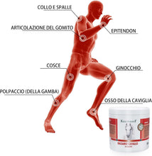 Carica l'immagine nel visualizzatore di Gallery, Naturus per Krauterhof | Balsamo Riscaldante per Cavalli Extra Forte, Gel all’Arnica – Sollievo Muscolare Post-Allenamen