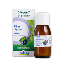 Carica l'immagine nel visualizzatore di Gallery, Estratti di Piante Ribes Nigrum - Macerato Glicerinato di Ribes Nero 60 ml