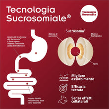 Carica l'immagine nel visualizzatore di Gallery, SiderAL® Forte Integratore alimentare a base di Ferro Sucrosomiale®, No Gusto metallico, Alta Tolerabilità, Alto assorbi